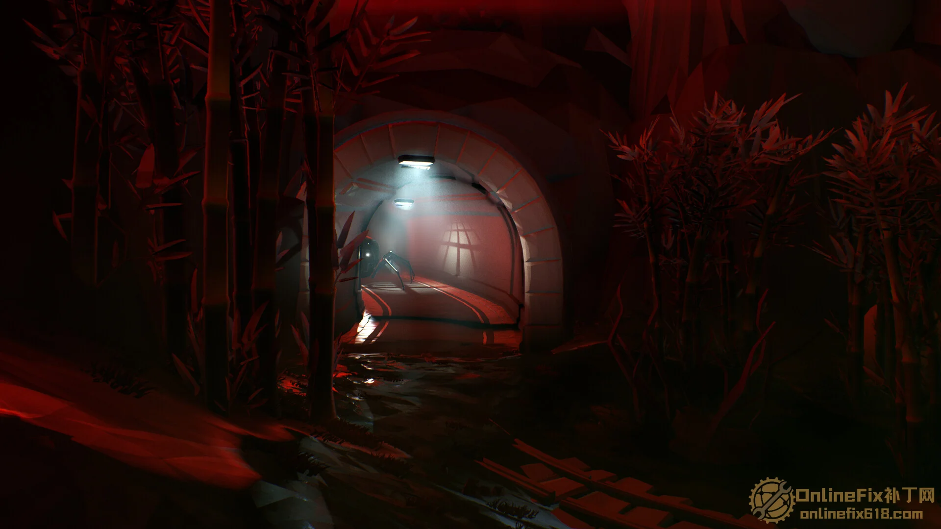 Image 3