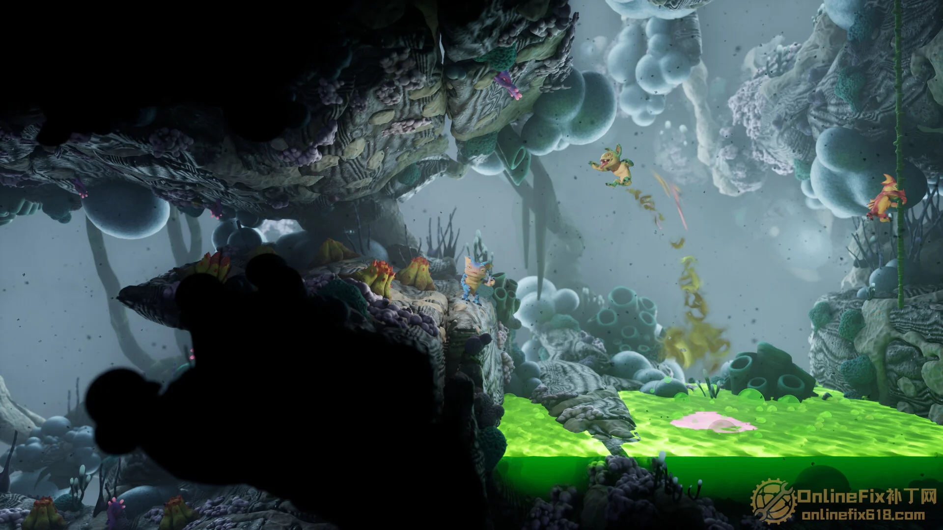 Image 5