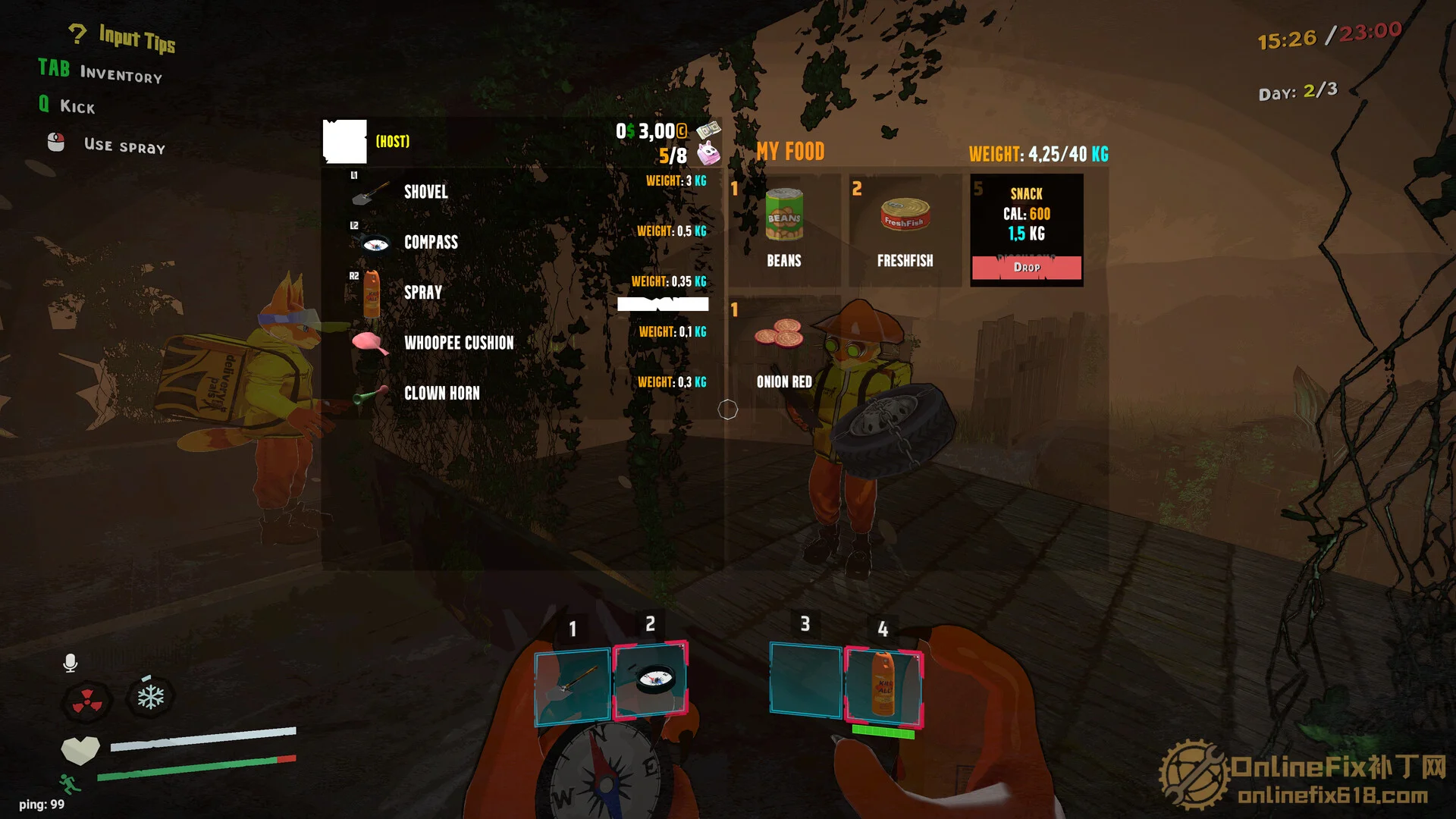 Image 5