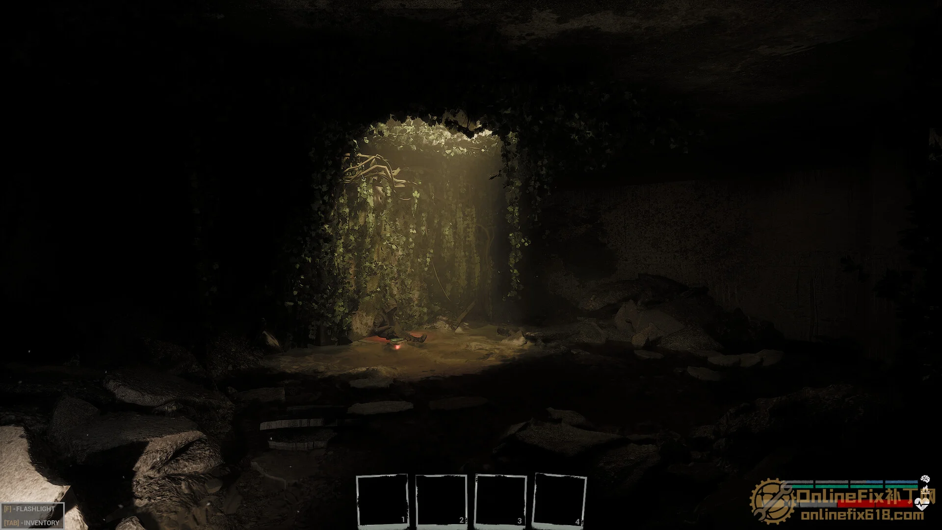 Image 5