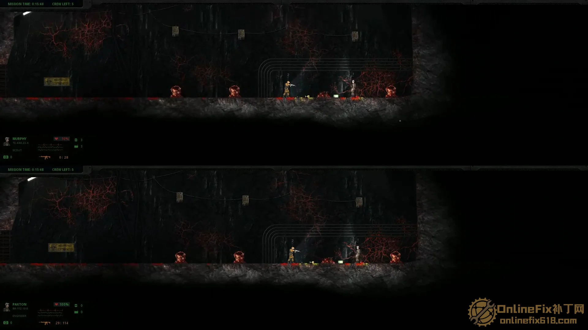 Image 5