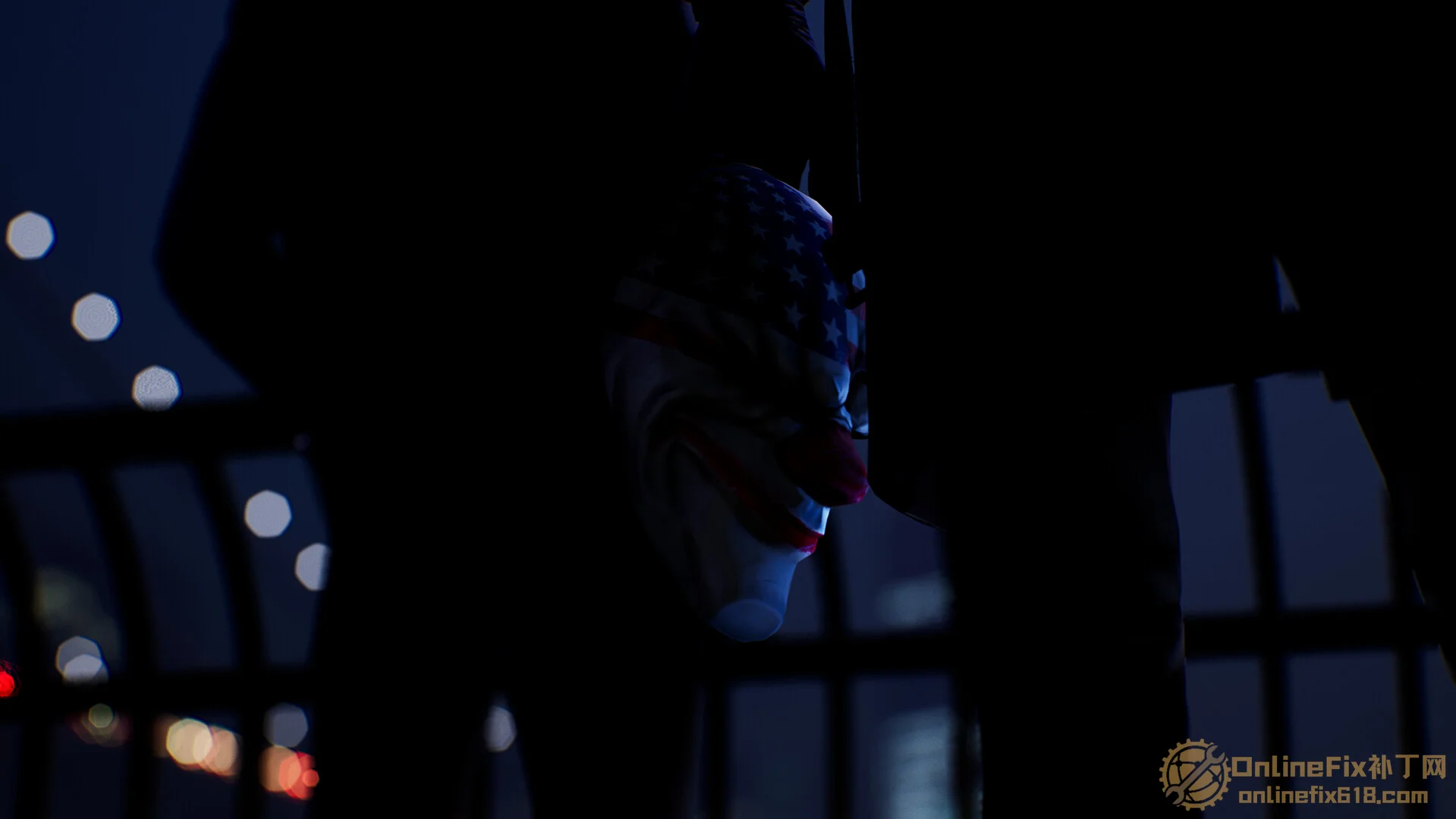 Image 5